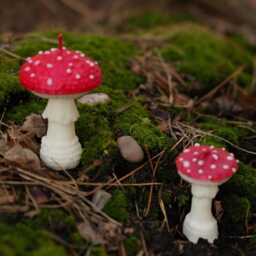 Set Of Two Mushroom Candles Red Amanita, Free Delivery - thumbnail 2