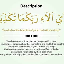 Which Of The Bounties Your Lord Will You Deny? Vinyl Wall Decal - thumbnail 3