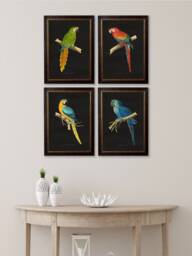 Parrot Pictures Macaw Prints in Black Frames 38x50cm Set Of 4 Multicolour Dark Decor Paintings Wall Framed - thumbnail 1