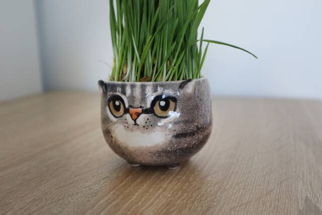 Custom Cat Portrait Pot Ceramic Pet Planter, Lover Gift - image 1