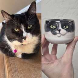 Custom Cat Portrait Pot Ceramic Pet Planter, Lover Gift - thumbnail 4