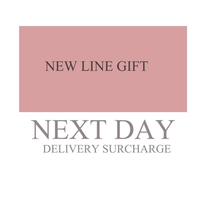 Next Day Delivery Surcharge UK Only