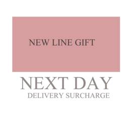 Next Day Delivery Surcharge UK Only