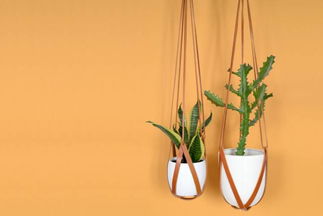 Light Brown Leather Hanging Planter/Lade #2 Burnt Orange Plant Hanger - image 1
