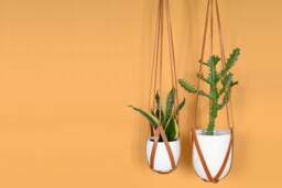 Light Brown Leather Hanging Planter/Lade #2 Burnt Orange Plant Hanger