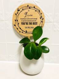 You're The Best - Planter Stick Plantpot Thank You Gift Personalised Teachers Thankyou - Made in Australia