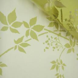 Virginia Creeper Stripe Border Stencil - Reusable For Wall Decor - thumbnail 3
