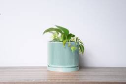 "Mid-Century Modern Planter With Drainage & Saucer in Teal, Unique 3D-Printed Plant Pot, Sizes 4"" 5"" 6"" 7"" 8" - thumbnail 1