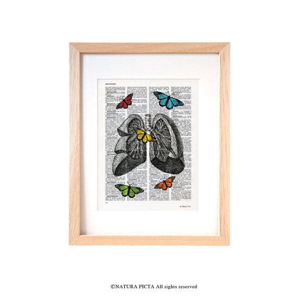 Lungs & Butterflies Anatomy Print Medical Office Decor - image 1
