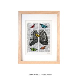 Lungs & Butterflies Anatomy Print Medical Office Decor - thumbnail 1