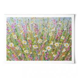 Meadow Of Daisies Art Print