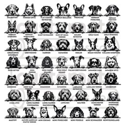 Custom Dog Breed Gift For Lovers - Personalized Welcome Rug To Our House Door Mat - thumbnail 3