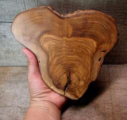 A 101 Year Old California Olive Naturally Heart Shaped Branch - Natural Rustic Wood Ornament By Tanja Sova