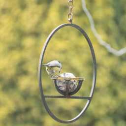 Rusty Metal Hanging Fat Ball Bird Feeder - thumbnail 4