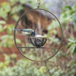 Rusty Metal Hanging Fat Ball Bird Feeder - thumbnail 2