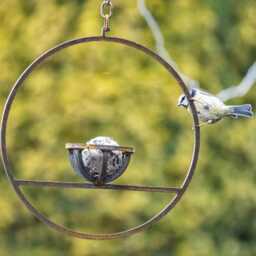 Rusty Metal Hanging Fat Ball Bird Feeder - thumbnail 3