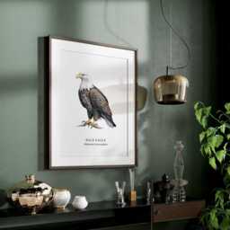 Bald Eagle Art, Birds Of Prey, Illustrated Birds, Bird Gifts, Wall Decor - thumbnail 3