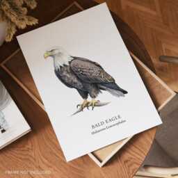 Bald Eagle Art, Birds Of Prey, Illustrated Birds, Bird Gifts, Wall Decor - thumbnail 2