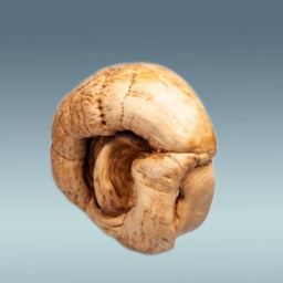Hand Carved Mask, Mask Wood, Wooden Houses, Home Interiors & Gifts, Head Wall Decor, Masks - thumbnail 2
