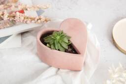 Heart Shaped Concrete Plant Pot - thumbnail 1