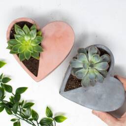 Heart Shaped Concrete Plant Pot - thumbnail 3