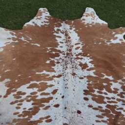 Real Cowhide Rug Brown & White-Luxury Hair On For Rustic Home Decor-Brazillian Cowhide-Rare Floor Area Rug-Handmade Cow Skin - thumbnail 2