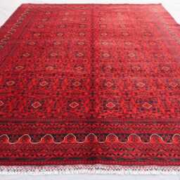 8x11 Red Bukhara Rug, Luxury Afghan Hand Knotted Organic Dyes Wool Home Decor Turkmen Tribal Oriental Bedroom Rug - thumbnail 3