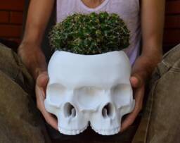 The Triclops Skull Planter