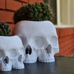 The Triclops Skull Planter - thumbnail 2