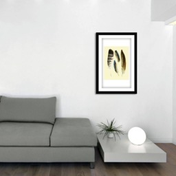 Feathers Printable Designer Feahthers Wall Decor Printable Instand Download Feathers Collection Real Bird Instant Print - thumbnail 2