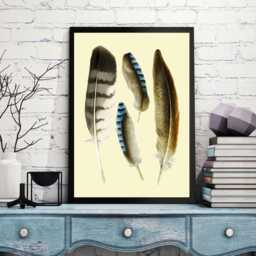 Feathers Printable Designer Feahthers Wall Decor Printable Instand Download Feathers Collection Real Bird Instant Print - thumbnail 3