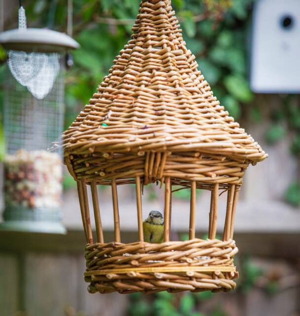 English Willow Bird Feeder - Please Be Aware Of The Prevalence Flu Currently in UK & Please See Your Local Guidance - image 1