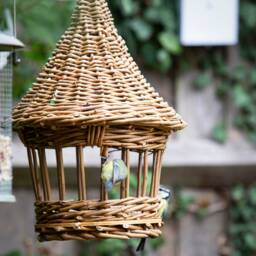 English Willow Bird Feeder - Please Be Aware Of The Prevalence Flu Currently in UK & Please See Your Local Guidance - thumbnail 2