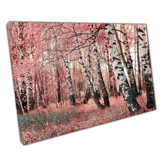 Serene Pink Birch Grove Canvas Print Woodland Wall Art For Home & Office Decor - image 1