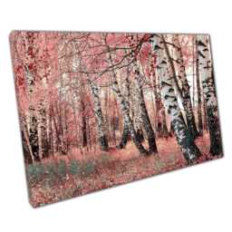 Serene Pink Birch Grove Canvas Print Woodland Wall Art For Home & Office Decor - thumbnail 1