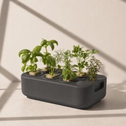 Modern Self-Watering Grow Tray - Indoor Herb & Lettuce Starter - Canopy Gardens - thumbnail 4