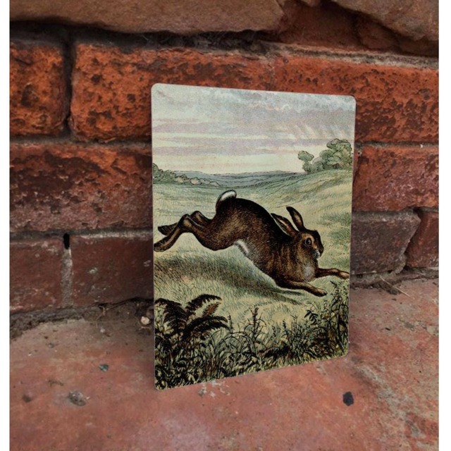 Hare Vintage Advertising Enamel Metal Tin Sign Wall Plaque