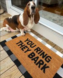 You Ring They Bark Doormat, Dog Gift, Home Decor, Custom Welcome Mat, Funny Front Door Doormat - thumbnail 1