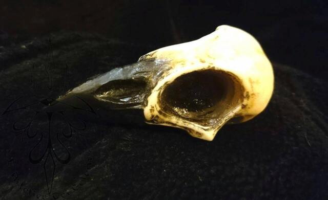 Large Crow Skull - 90x45mm, 30mm Thick - image 1