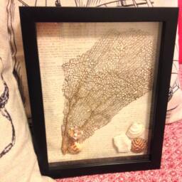 Framed Sea Fan, Fan Decor, Coastal Gifts, Authentic Fans, Wall Gift, Natural Caribbean Gold - thumbnail 2