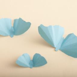 3D Wall Butterflies Sky Blue Butterfly Silhouettes For Girls Room, Nursery, & Home Decor - thumbnail 3