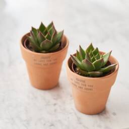 Couples Set Of Two Personalised Terracotta Plant Pots - thumbnail 2