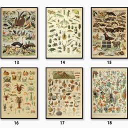 Adolphe Millot Botanical Poster Sets, Vintage Wall Art Decor, Food Art, Animal Print, Kitchen & Drink Poster, Gift, A1/A2/A3/A4 - thumbnail 3