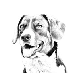 Appenzeller Sennenhund - Wooden Stand For Candles/Pens With The Image Of A Dog New Collection - thumbnail 2