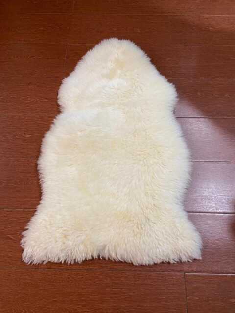 Genuine Sheepskin Rug, Ivory Wool Hide, Suede Backing, Organic Shape Decor - image 1