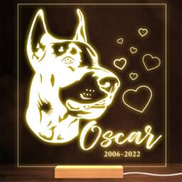 Doberman Dog Memorial Pet Loss Dates Personalised Gift Warm Lamp Night Light