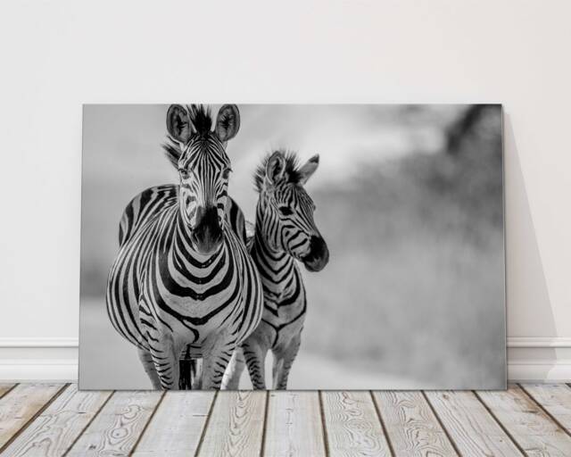 Zebra Family Canvas Print - Black White Wildlife Art Wall Decor For Living Room Nursery Safari Home - image 1