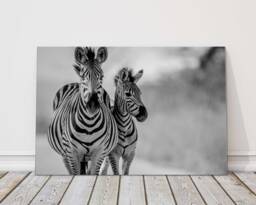 Zebra Family Canvas Print - Black White Wildlife Art Wall Decor For Living Room Nursery Safari Home - thumbnail 1