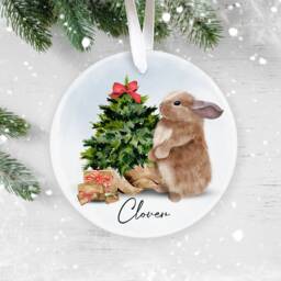 Bunny Christmas Ornament, Rabbit Bauble, Personalised Tree Pet Lover Personalized Keepsake