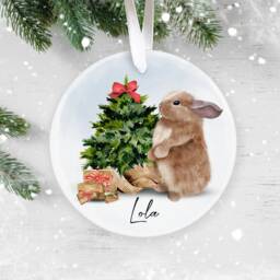 Bunny Christmas Ornament, Rabbit Bauble, Personalised Tree Pet Lover Personalized Keepsake - thumbnail 2